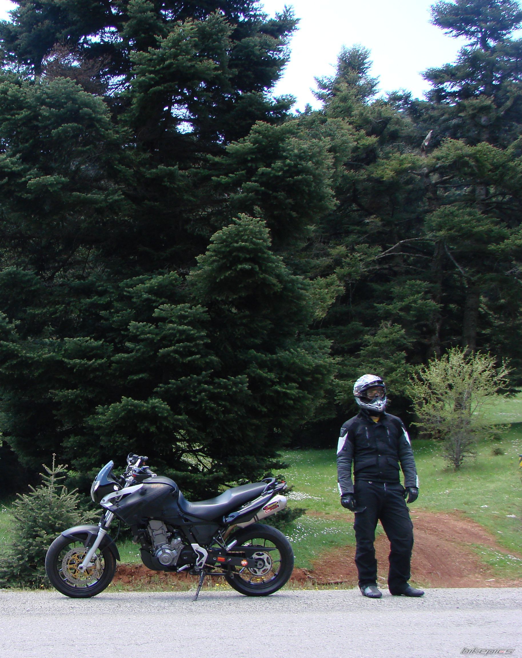 2005 APRILIA PEGASO 650 IE | Picture 2204865 motorcycle photo