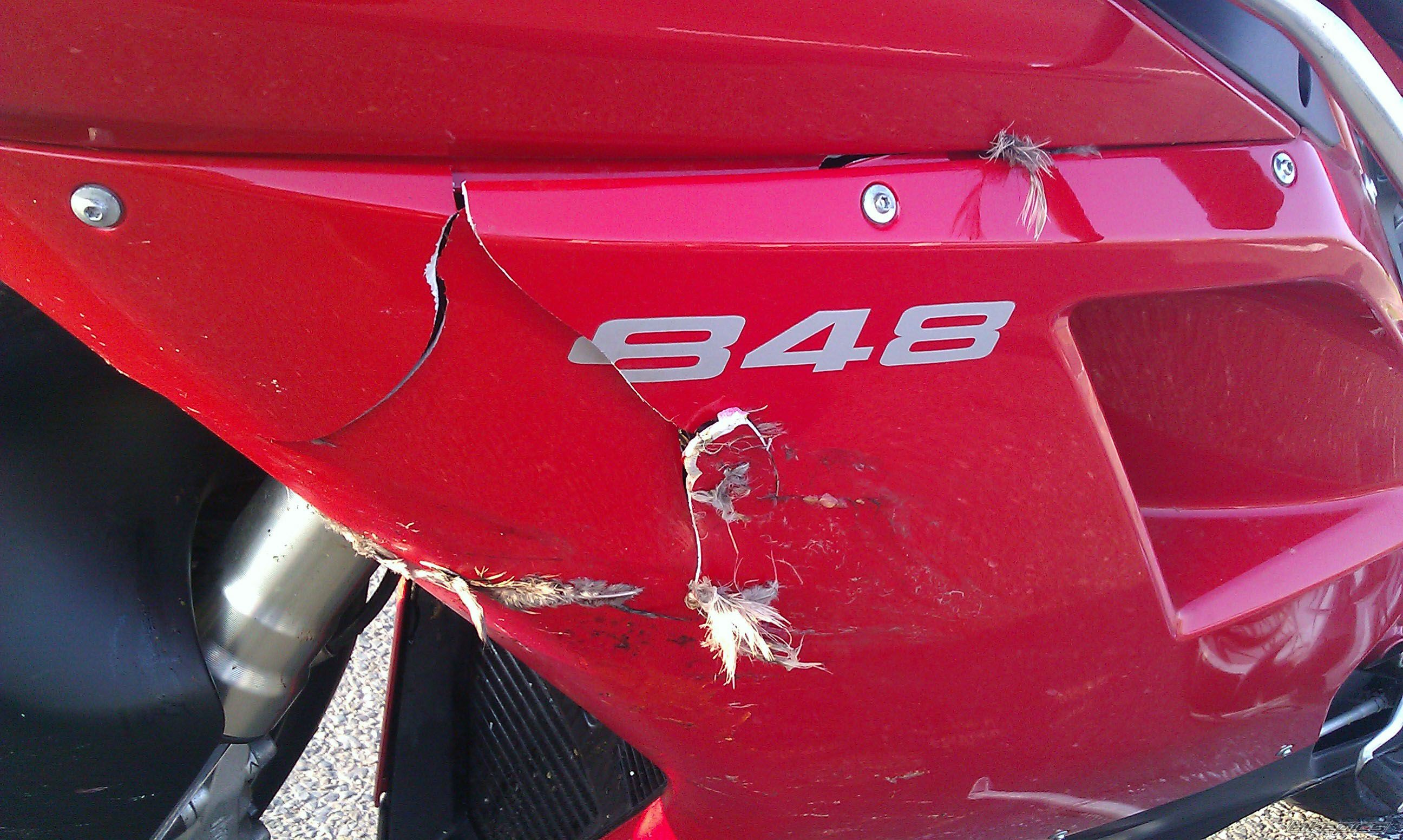2010 DUCATI 848 | Picture 2204940 motorcycle photo