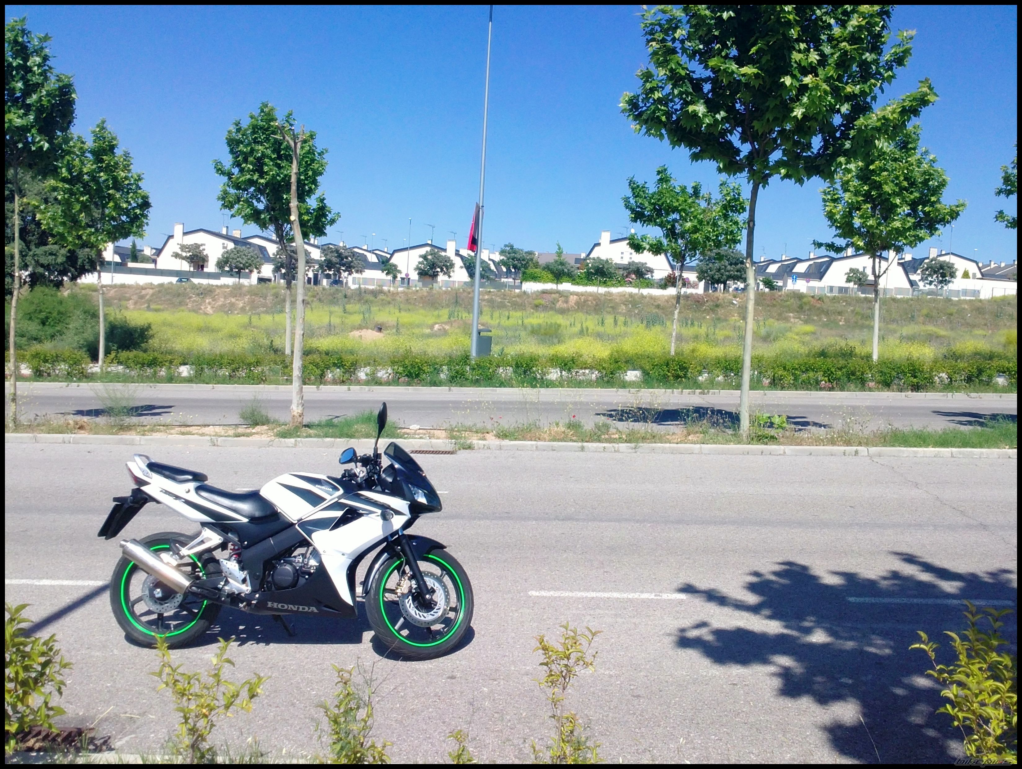 2008 HONDA CBR 125 | Picture 2205091 motorcycle photo