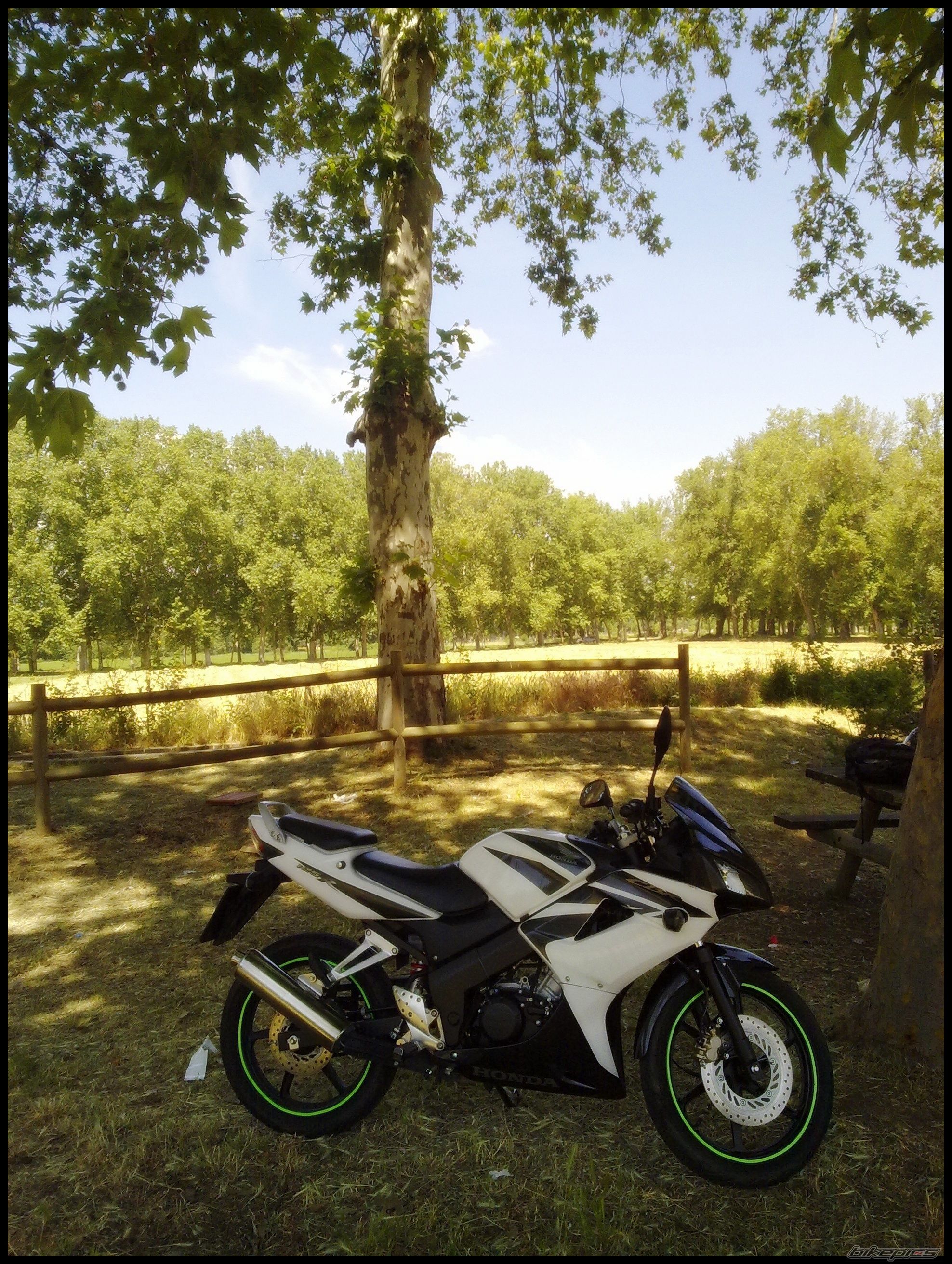 2008 HONDA CBR 125 | Picture 2205701 motorcycle photo