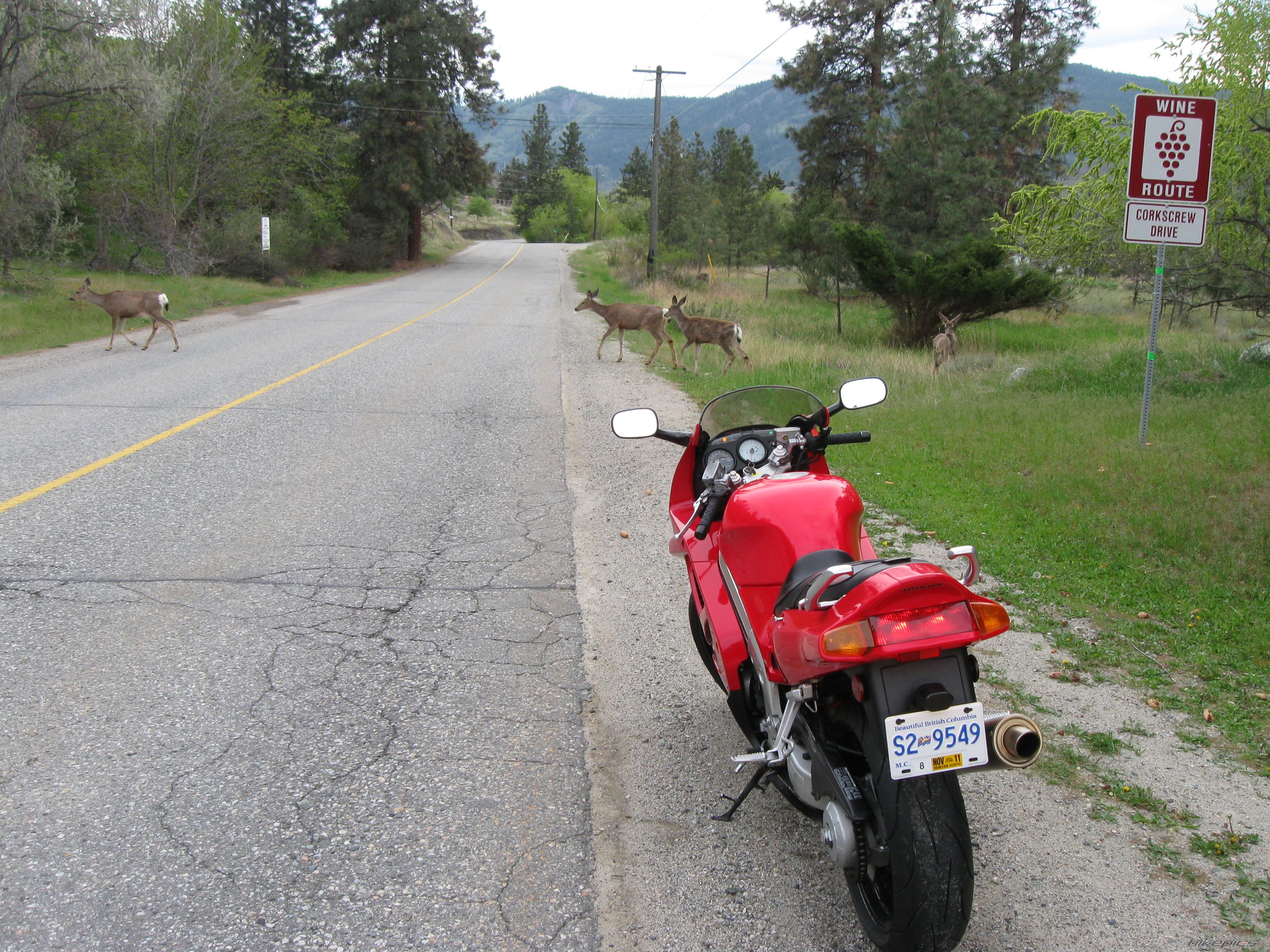 1994 HONDA VFR 750 | Picture 2206728 motorcycle photo