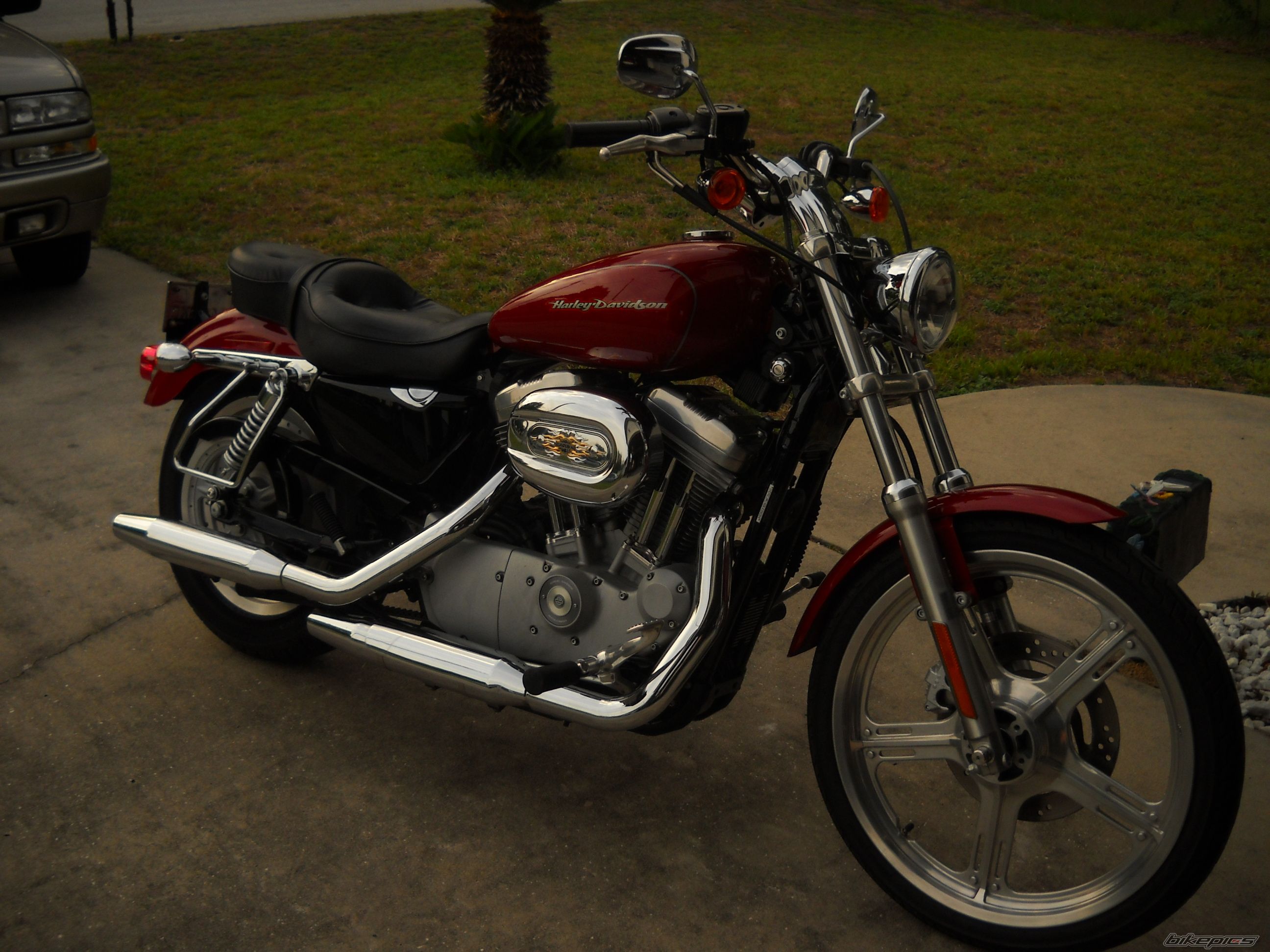 2006 HARLEY DAVIDSON XL 883 CUSTOM | Picture 2207321 motorcycle photo