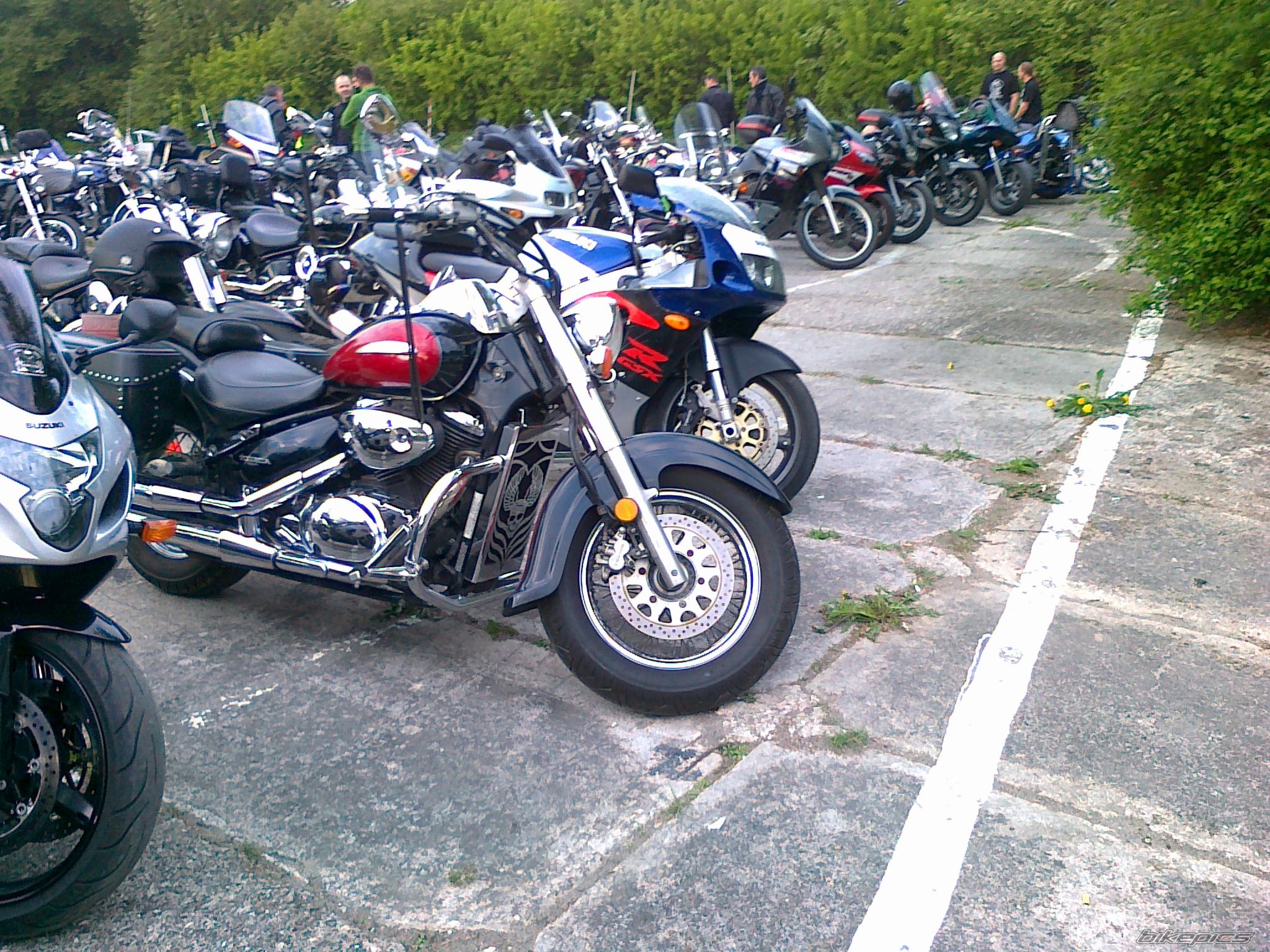 2001 SUZUKI INTRUDER VOLUSIA | Picture 2207520 motorcycle photo