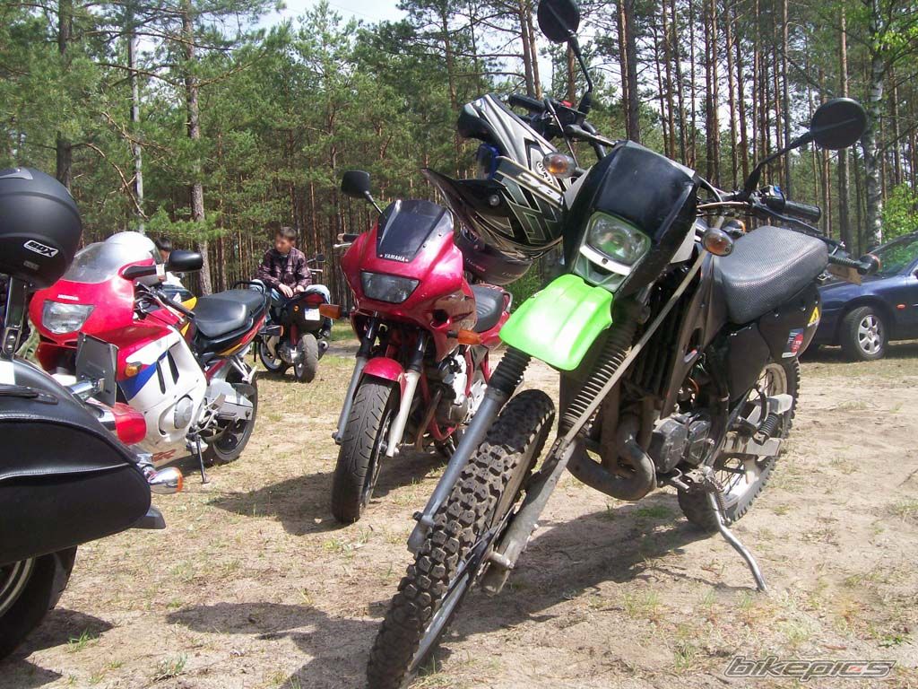 1999 KAWASAKI KMX 125 | Picture 2207555 motorcycle photo