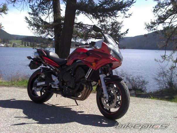 2006 YAMAHA FZ6 | Picture 2208262 motorcycle photo