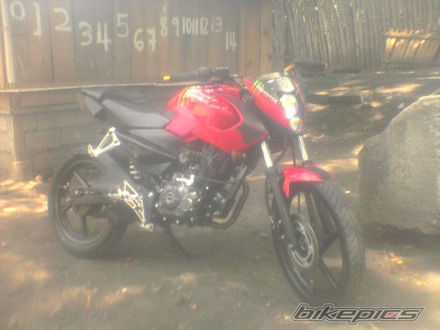2011 BAJAJ PULSAR 135 LS | Picture 2208420 motorcycle photo