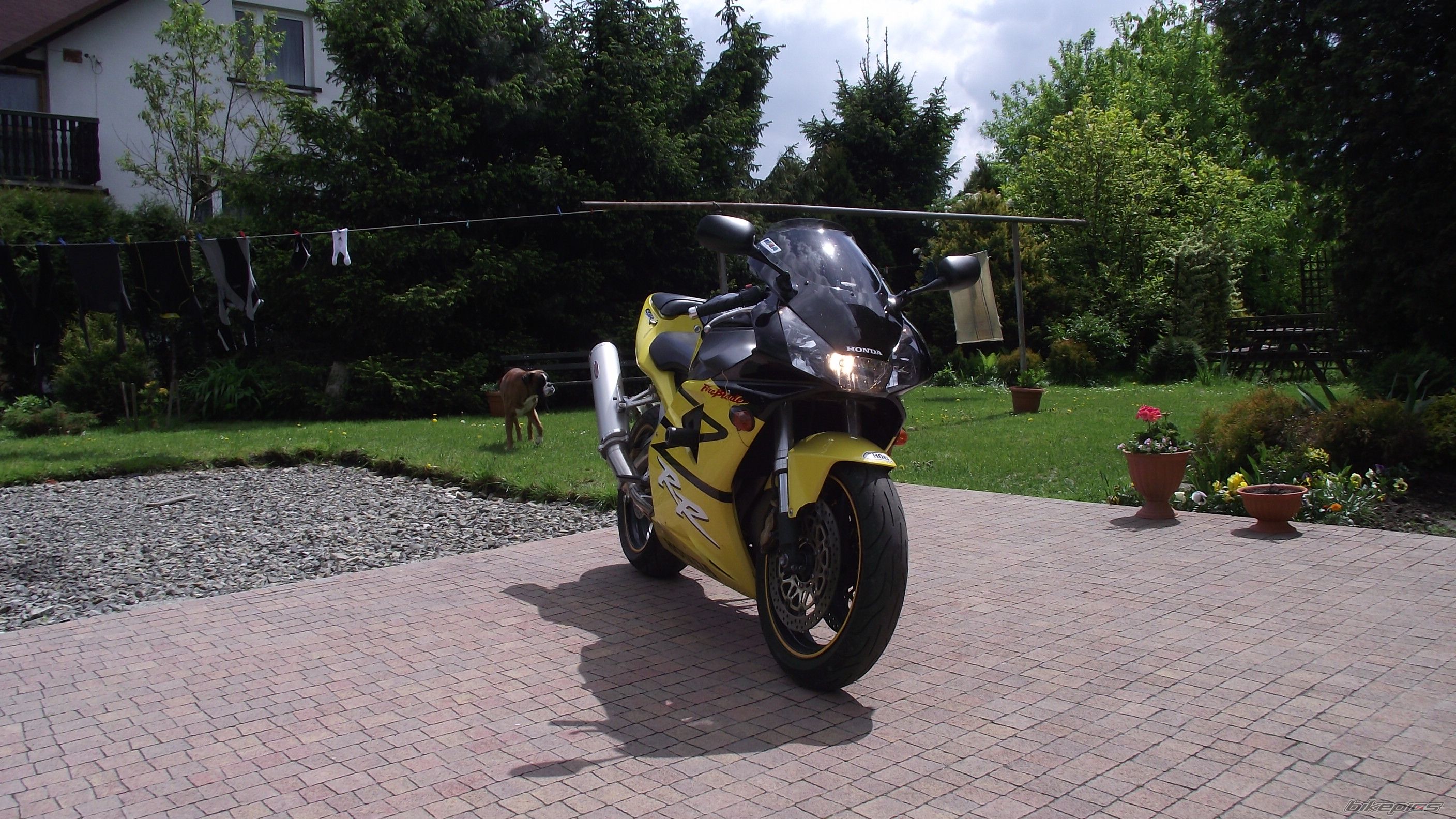 2003 HONDA CBR 954RR | Picture 2208521 motorcycle photo
