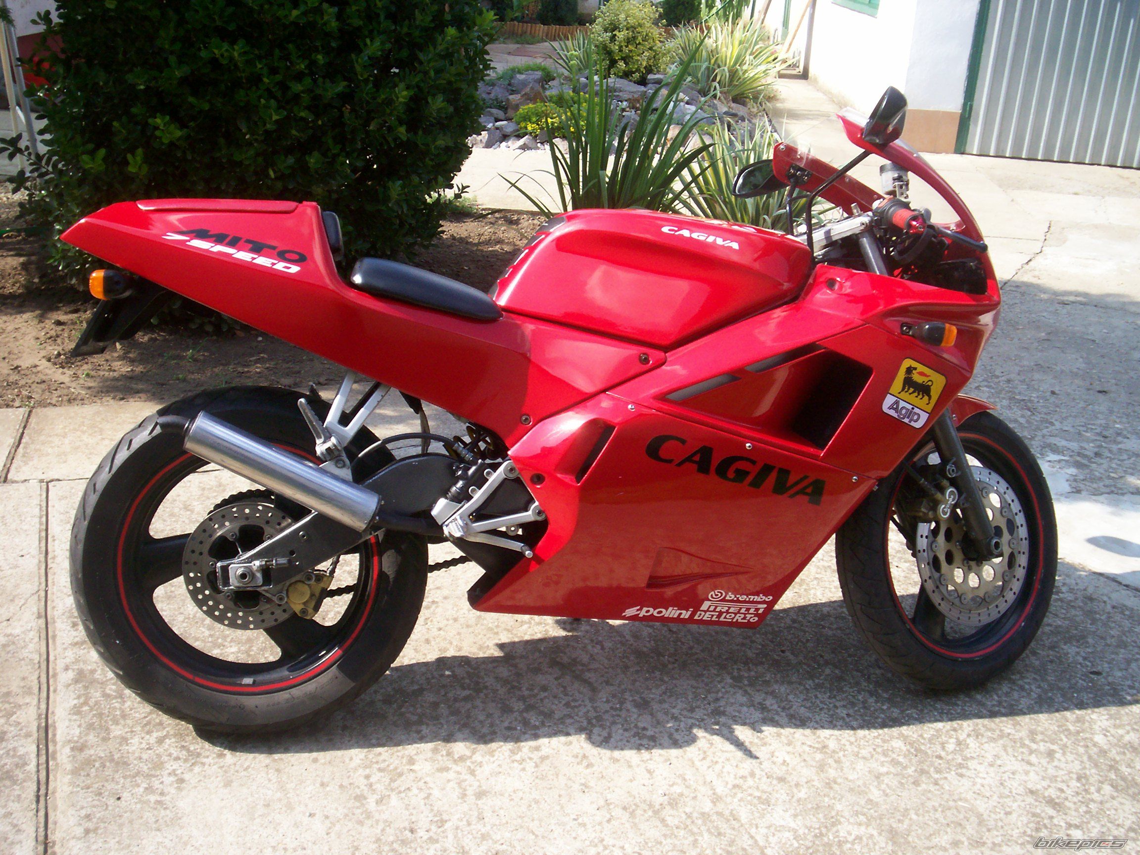 1991 CAGIVA MITO 125 | Picture 2208771 motorcycle photo