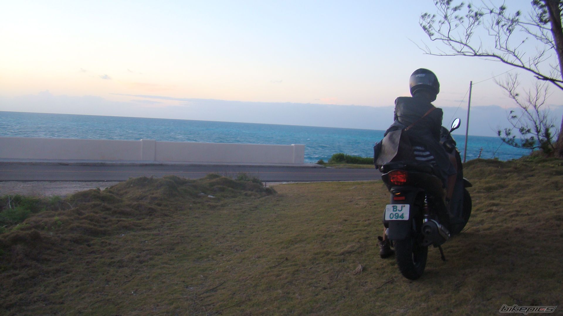 2005 HONDA SH125 | Picture 2208982 motorcycle photo