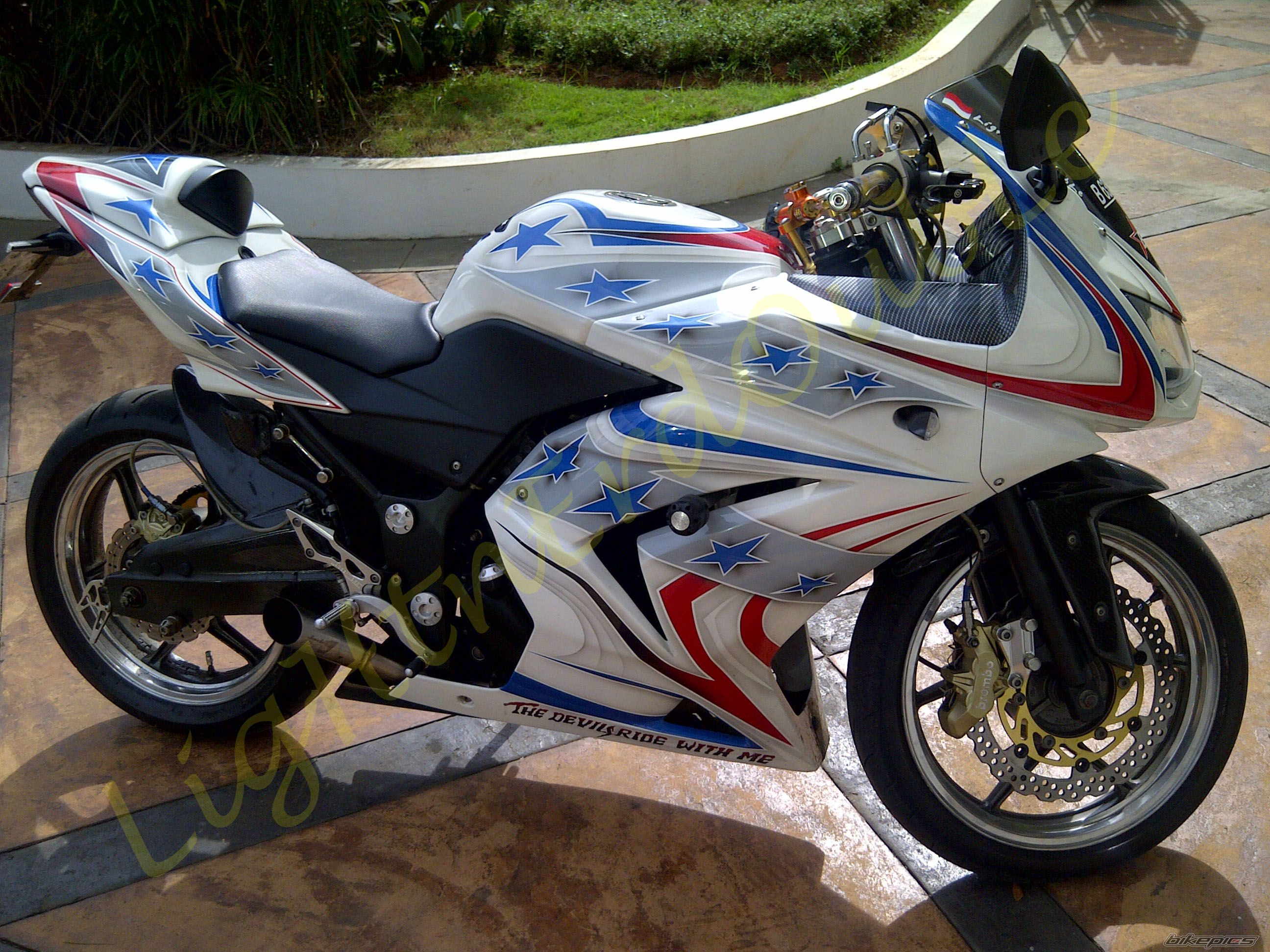 2008 KAWASAKI NINJA 250R | Picture 2209223 motorcycle photo