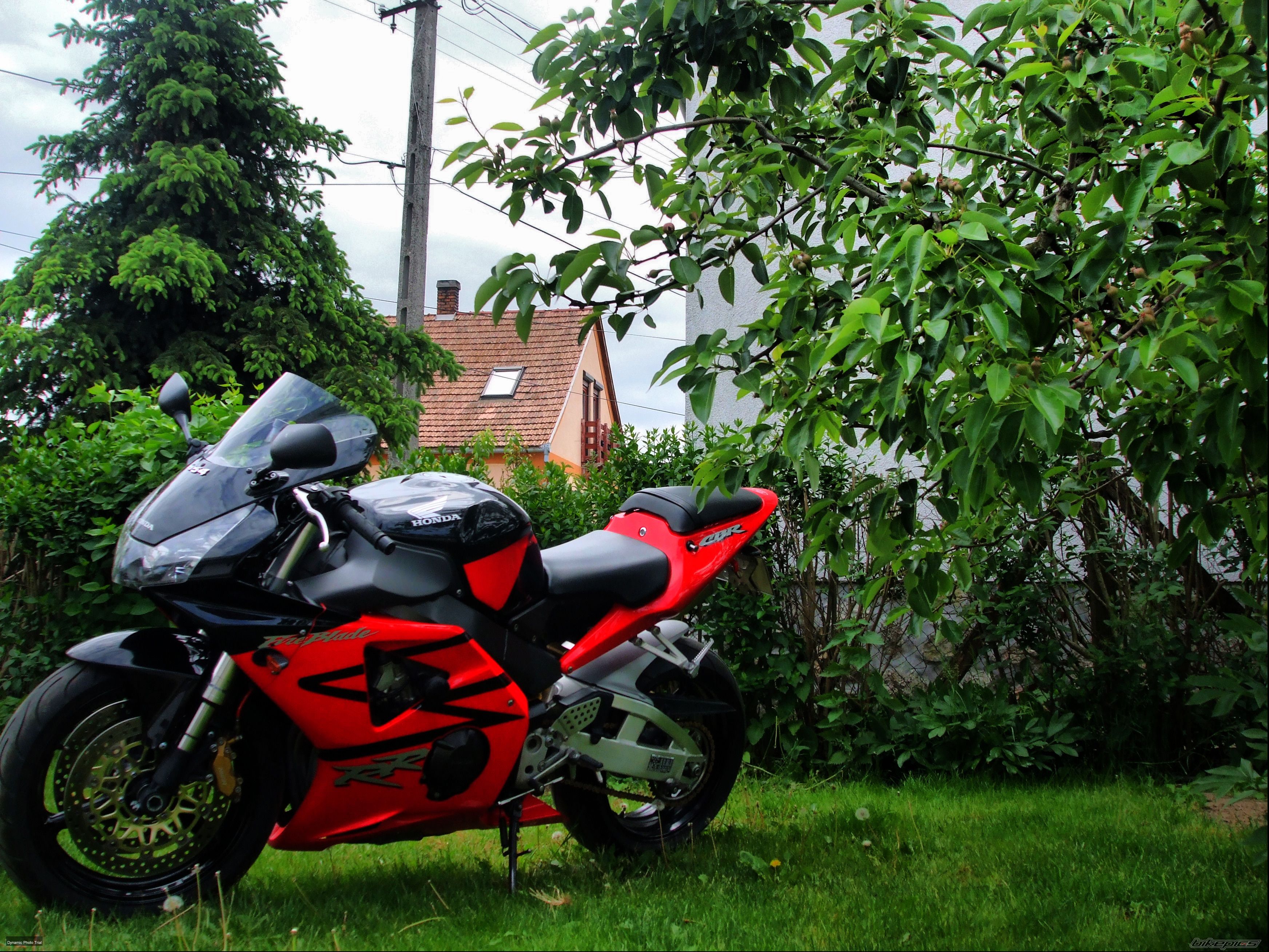2003 HONDA CBR 954RR FIREBLADE | Picture 2209232 motorcycle photo