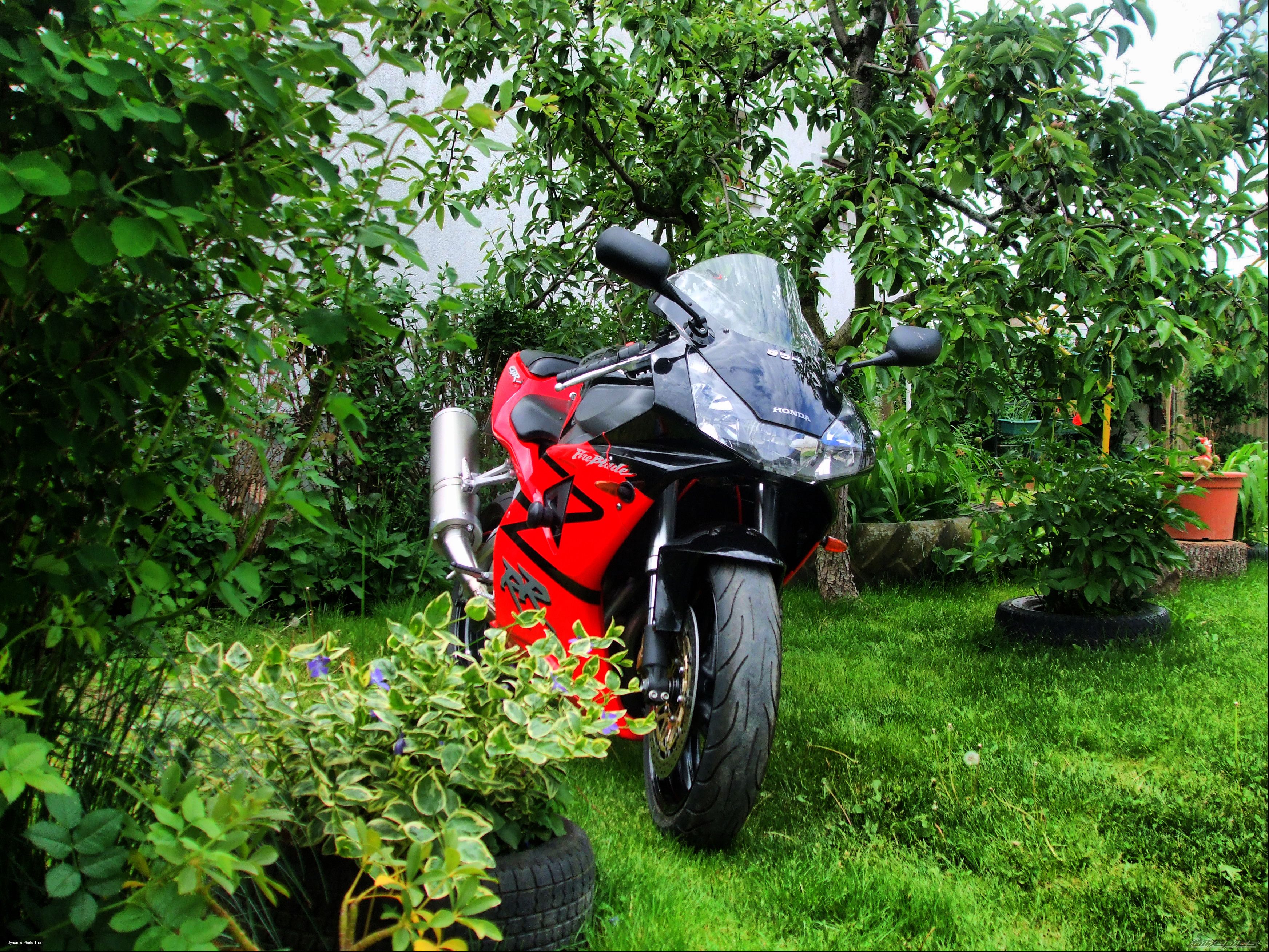 2003 HONDA CBR 954RR FIREBLADE | Picture 2209235 motorcycle photo