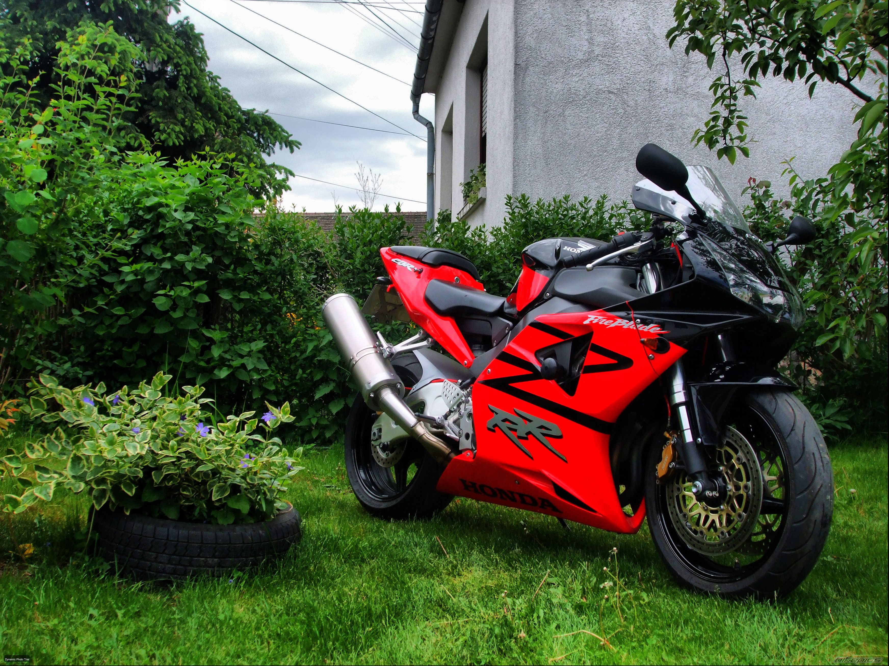 2003 HONDA CBR 954RR FIREBLADE | Picture 2209236 motorcycle photo
