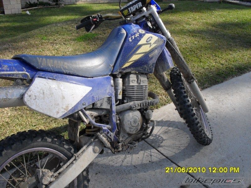 1999 YAMAHA TTR 250 | Picture 2209785 motorcycle photo