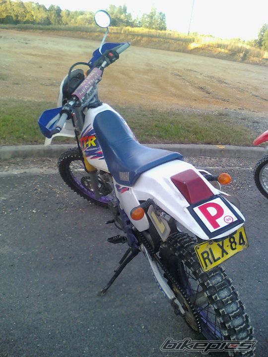 1994 YAMAHA TTR 250 | Picture 2209795 motorcycle photo