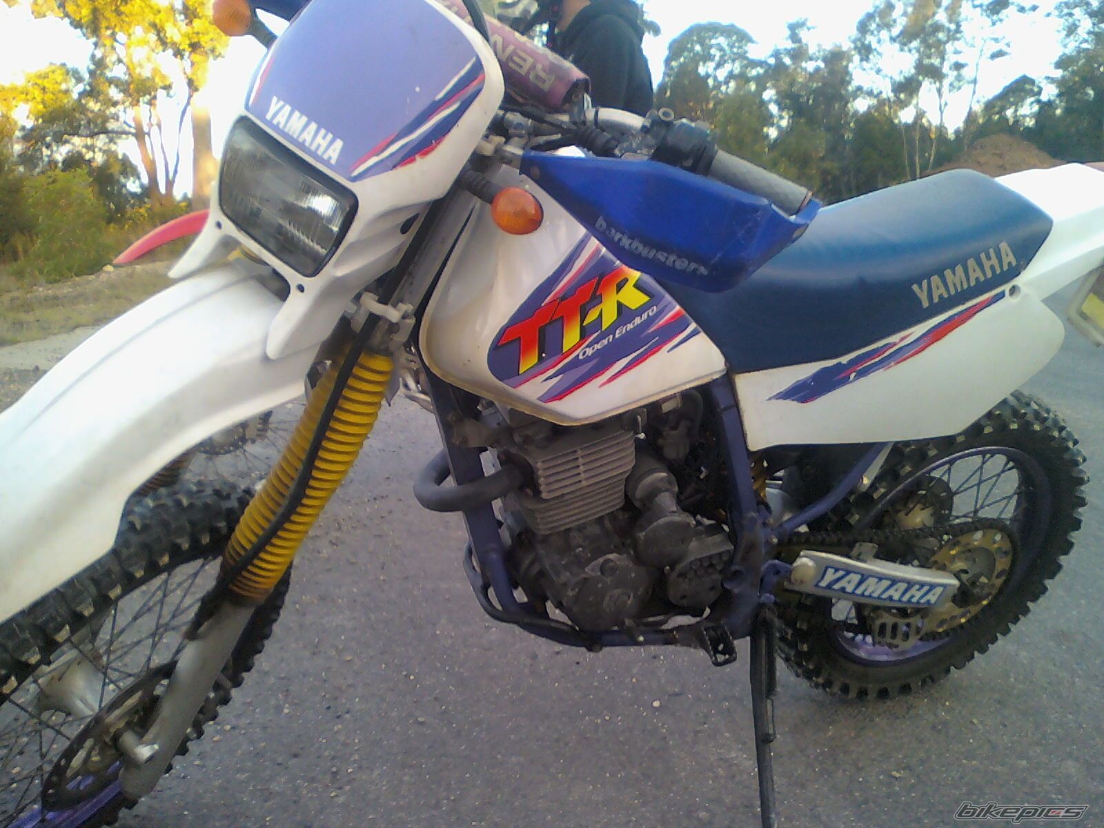1994 YAMAHA TTR 250 | Picture 2209797 motorcycle photo