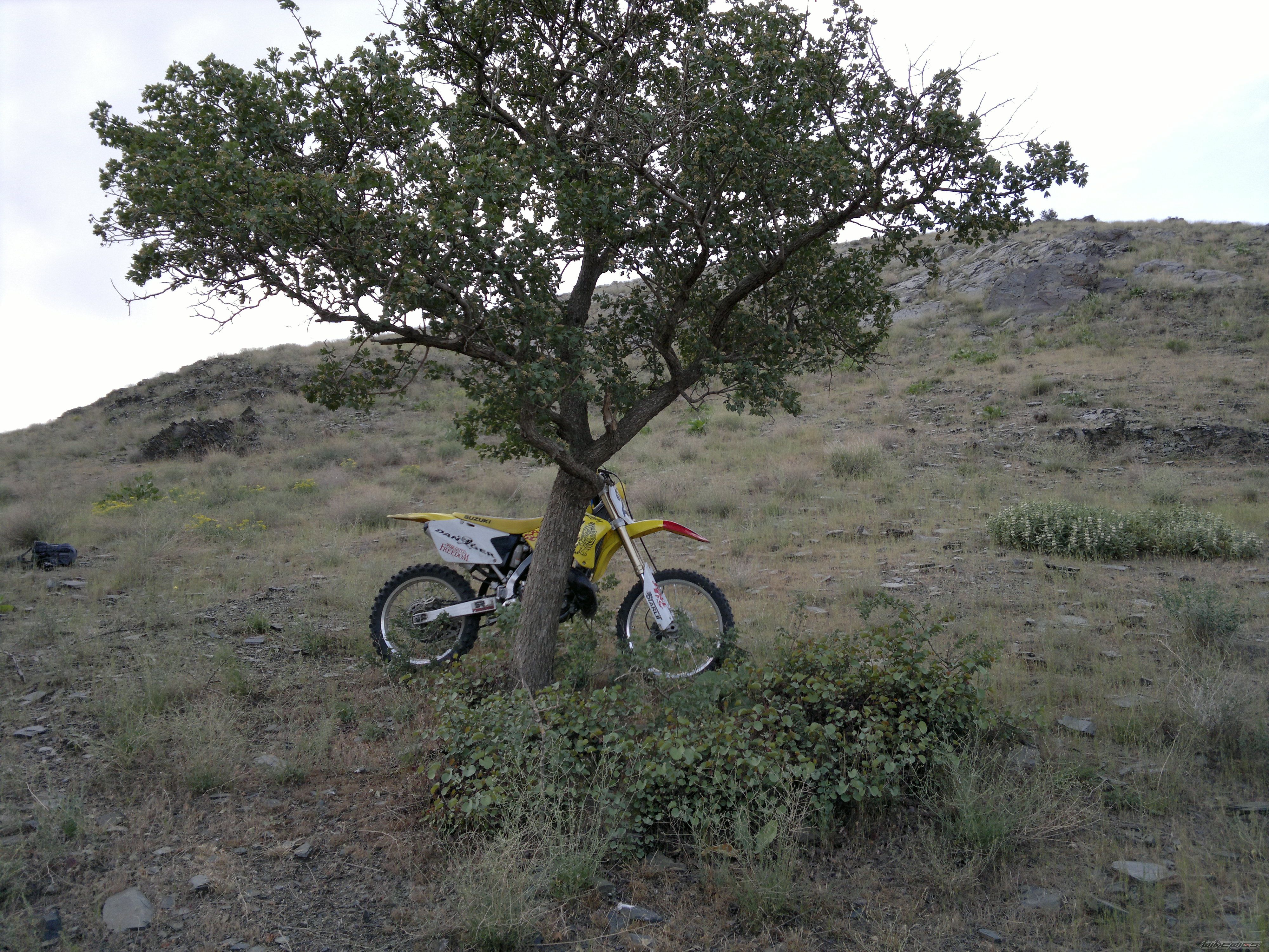 2005 SUZUKI RM 250 | Picture 2211325 motorcycle photo