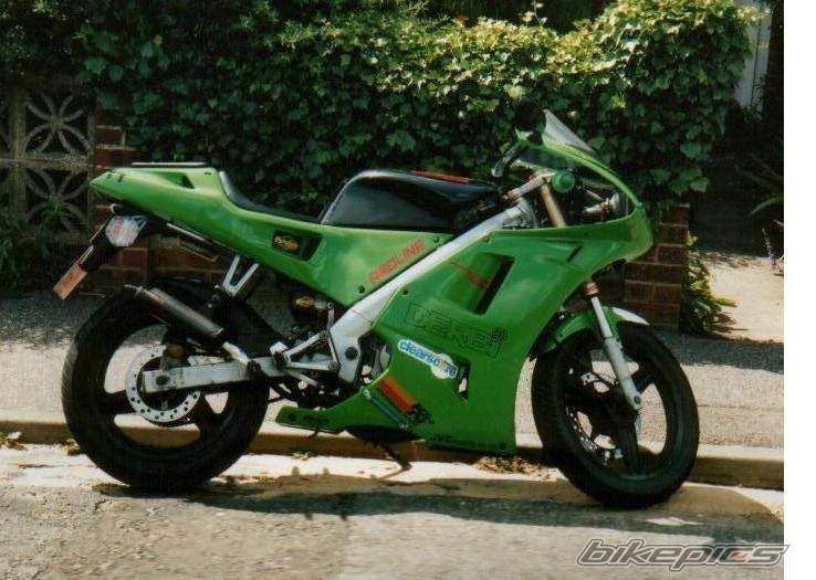 1999 DERBI GPR | Picture 221135 motorcycle photo