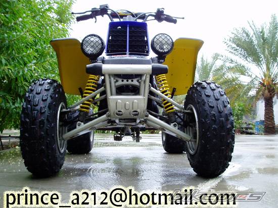 1999 YAMAHA BANSHEE | Picture 221214 motorcycle photo