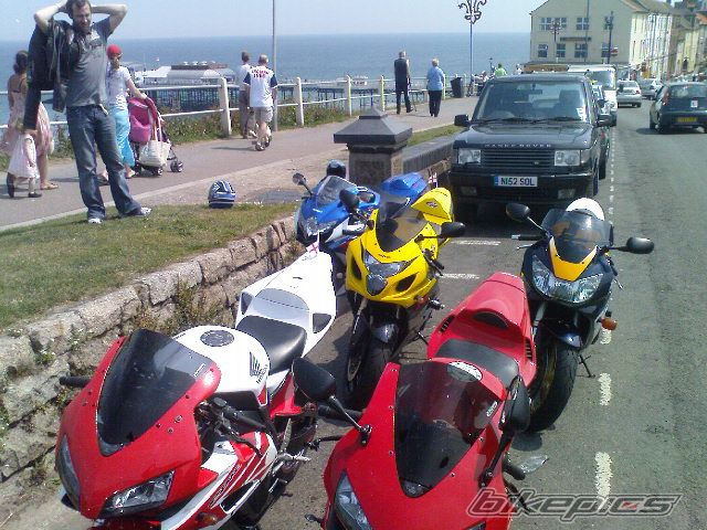 2008 SUZUKI GSX R 750 | Picture 2212391 motorcycle photo