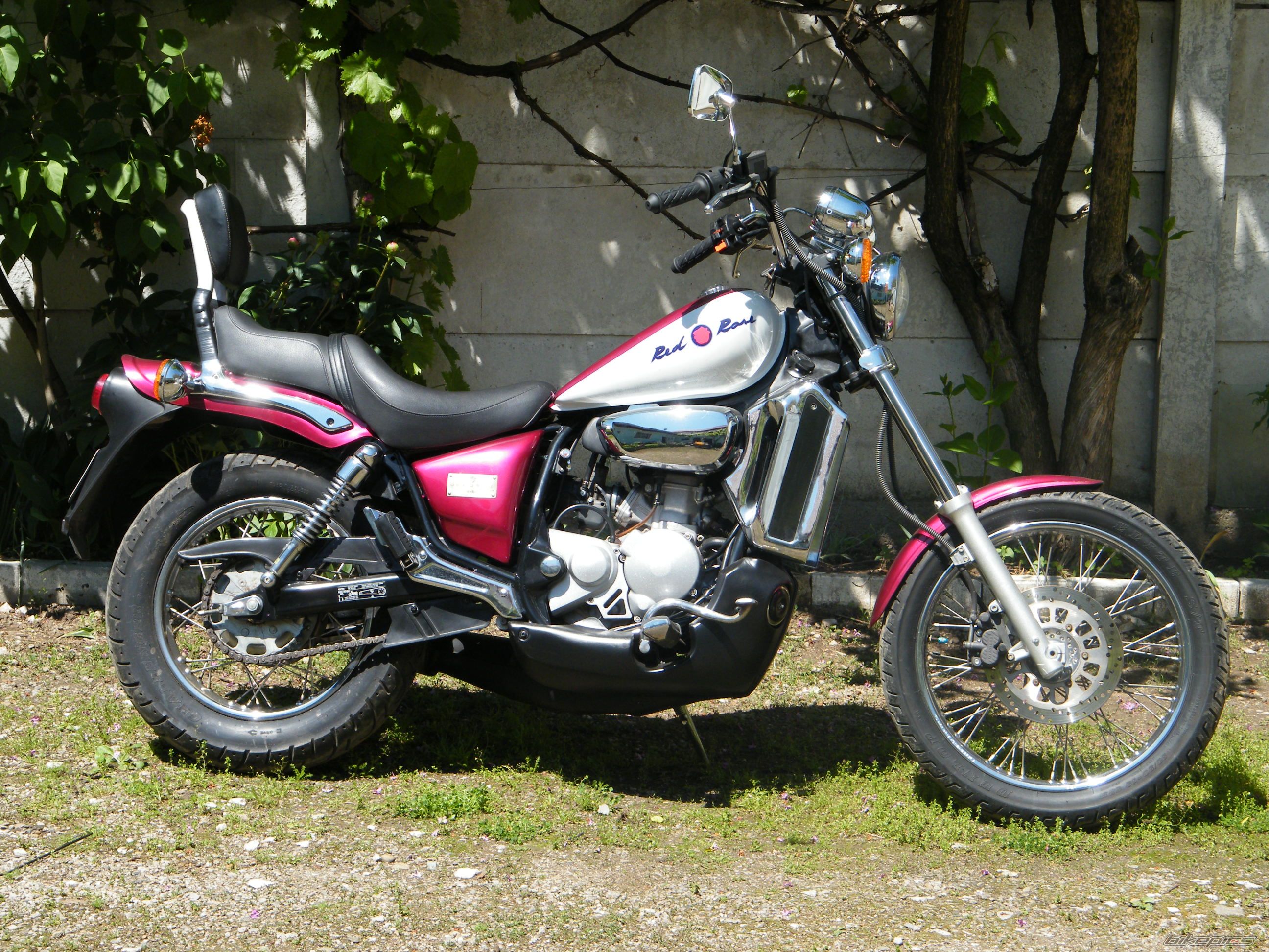 1994 APRILIA RED ROSE 125 | Picture 2212535 motorcycle photo