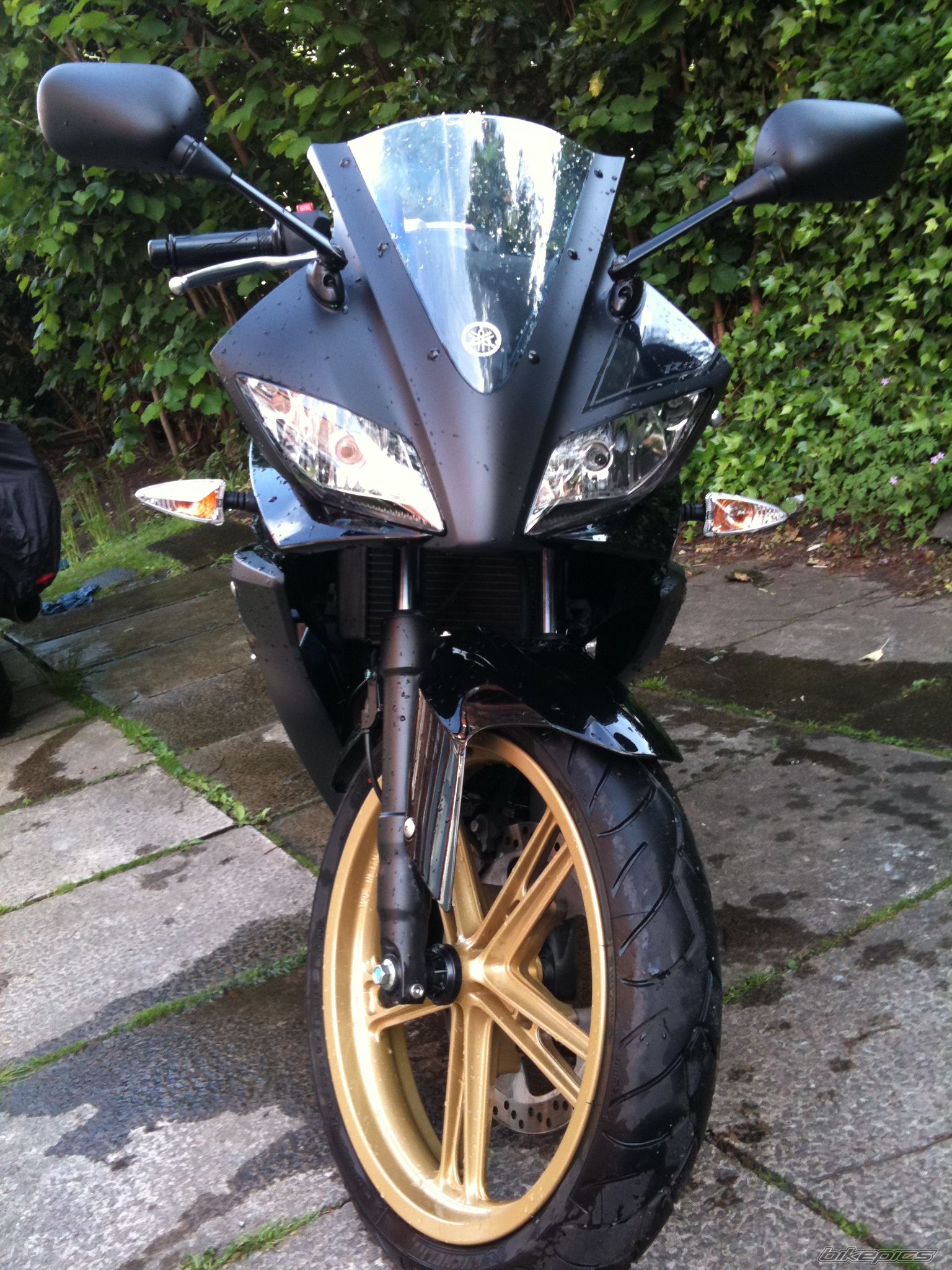 2011 YAMAHA YZF R125 | Picture 2213014 motorcycle photo