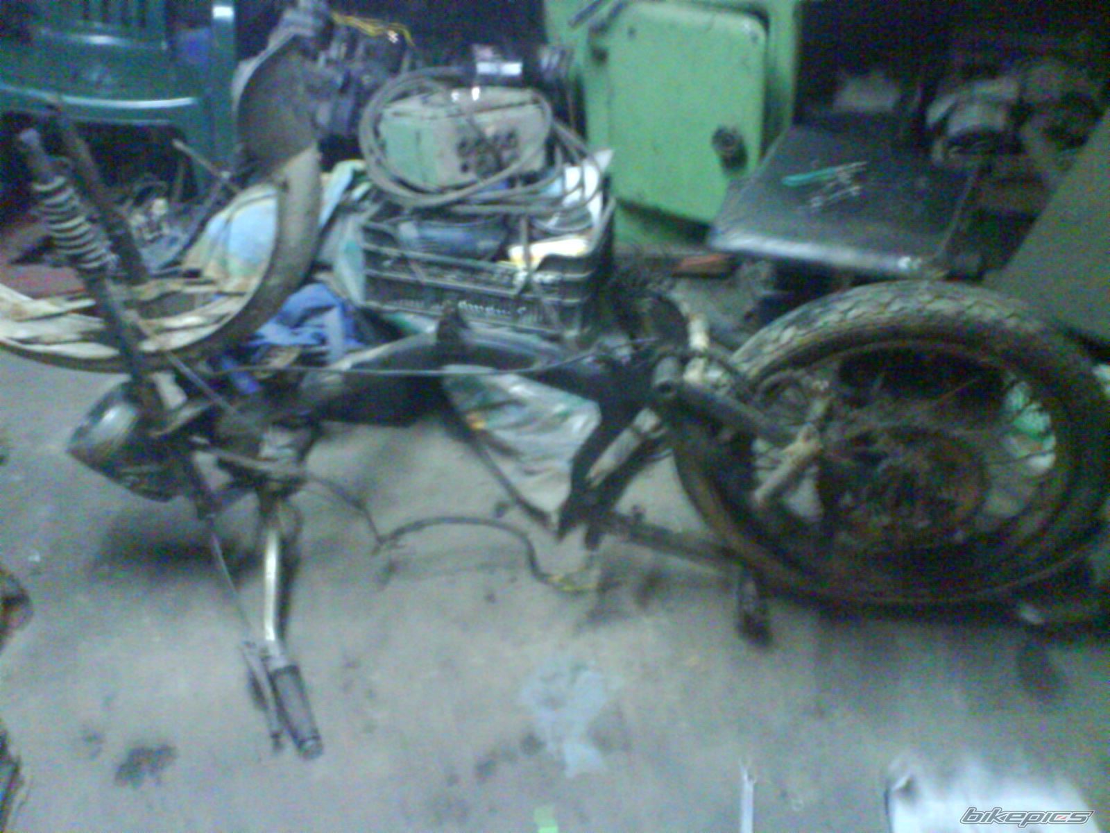 1979 JAWA MUSTANG 50 | Picture 2213338 motorcycle photo