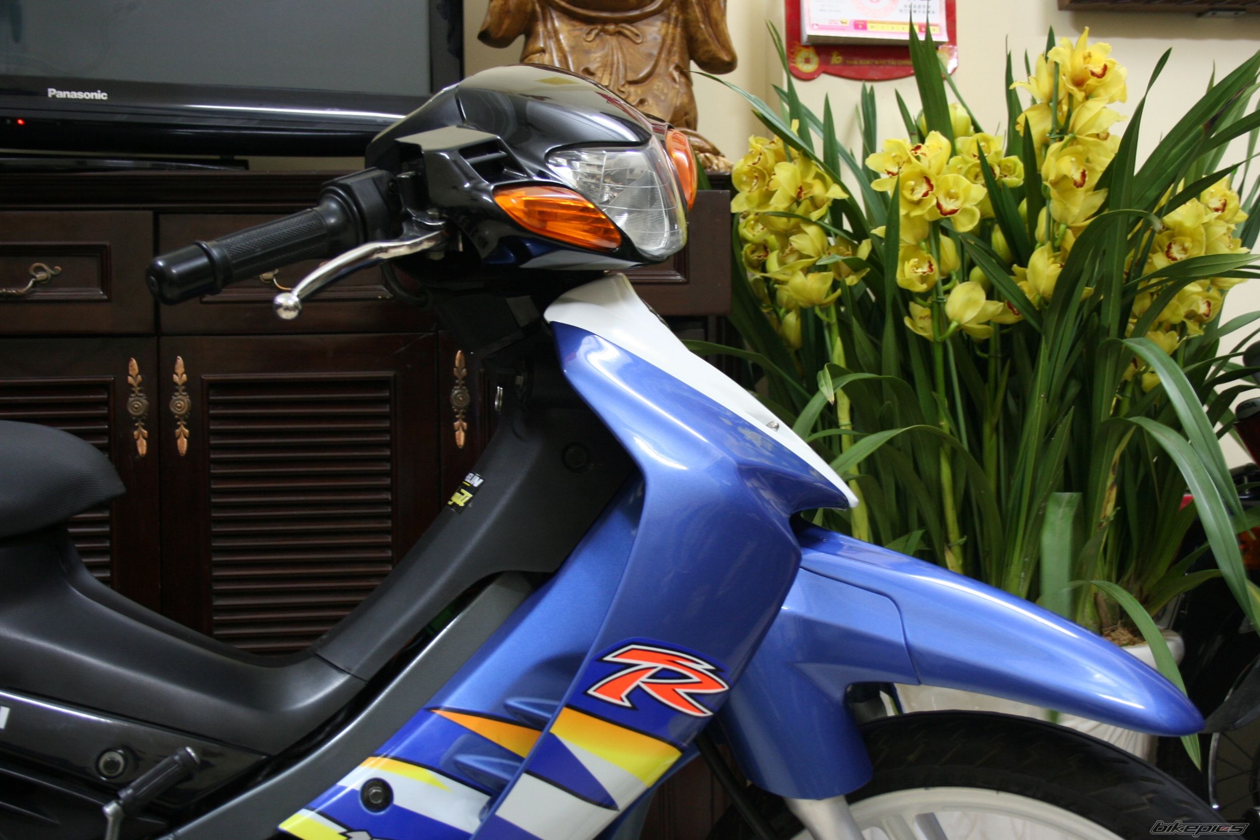2010 SUZUKI RGV 120 | Picture 2213572 motorcycle photo