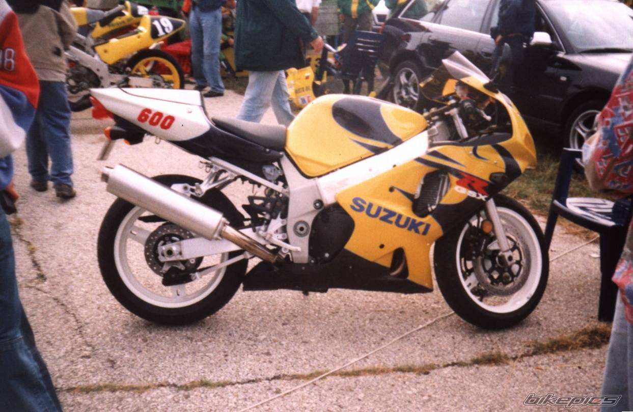 2002 SUZUKI TL1000R | Picture 221360 motorcycle photo
