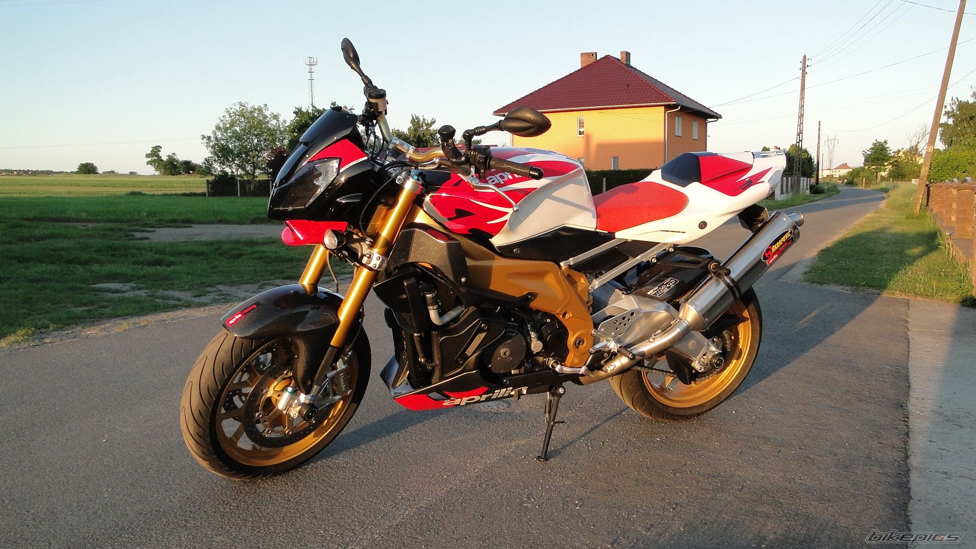 2008 APRILIA TUONO FACTORY | Picture 2213828 motorcycle photo