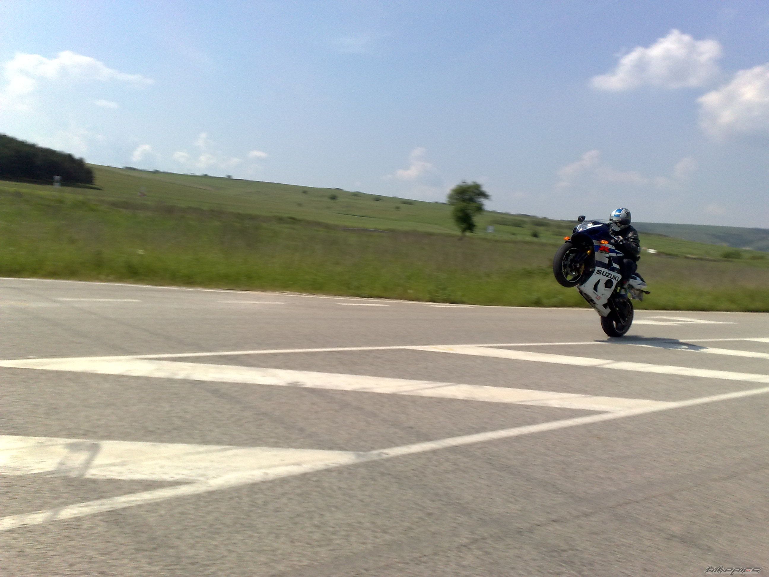 2004 SUZUKI GSX R 1000 | Picture 2213919 motorcycle photo