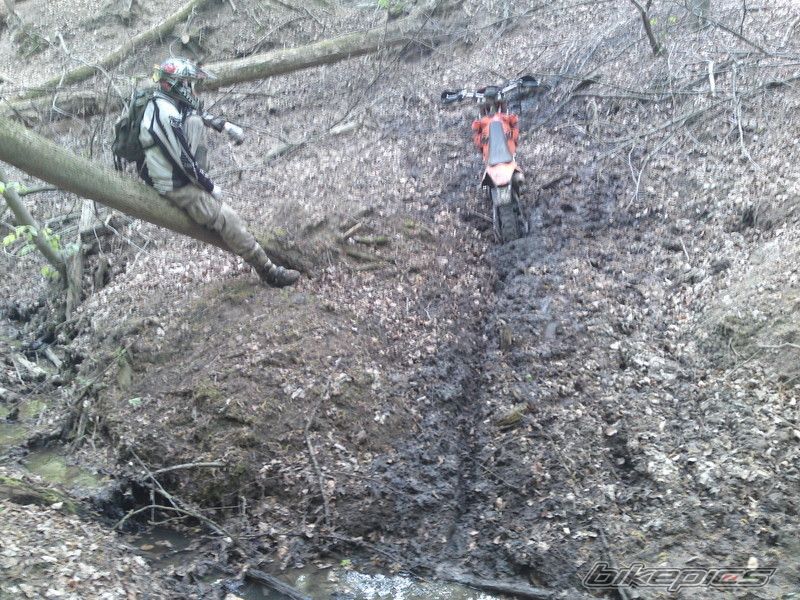 2004 KTM EXC 450 RACING | Picture 2214133 motorcycle photo