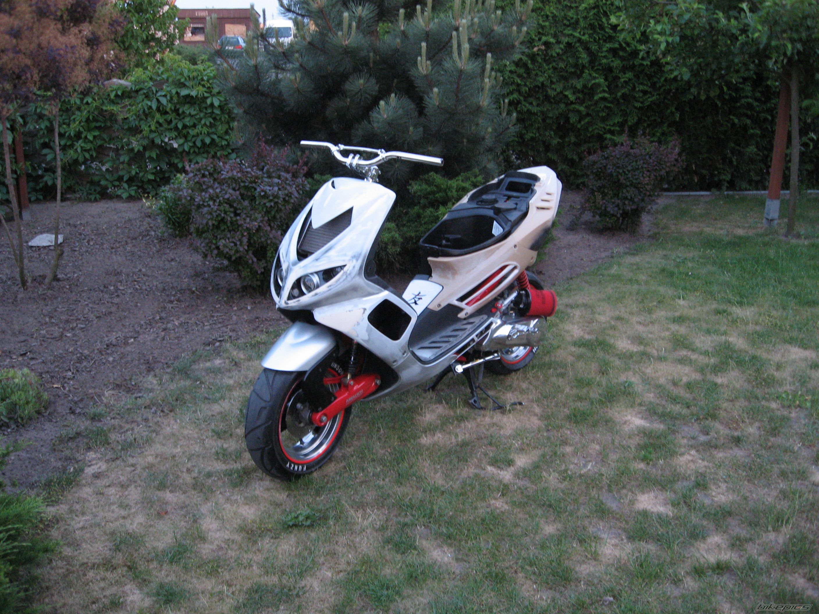 2002 PEUGEOT SPEEDFIGHT2 50 | Picture 2214298 motorcycle photo