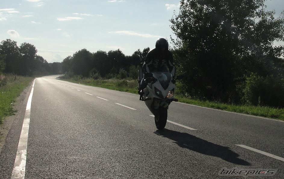 2003 HONDA CBR 600 FS | Picture 2214537 motorcycle photo
