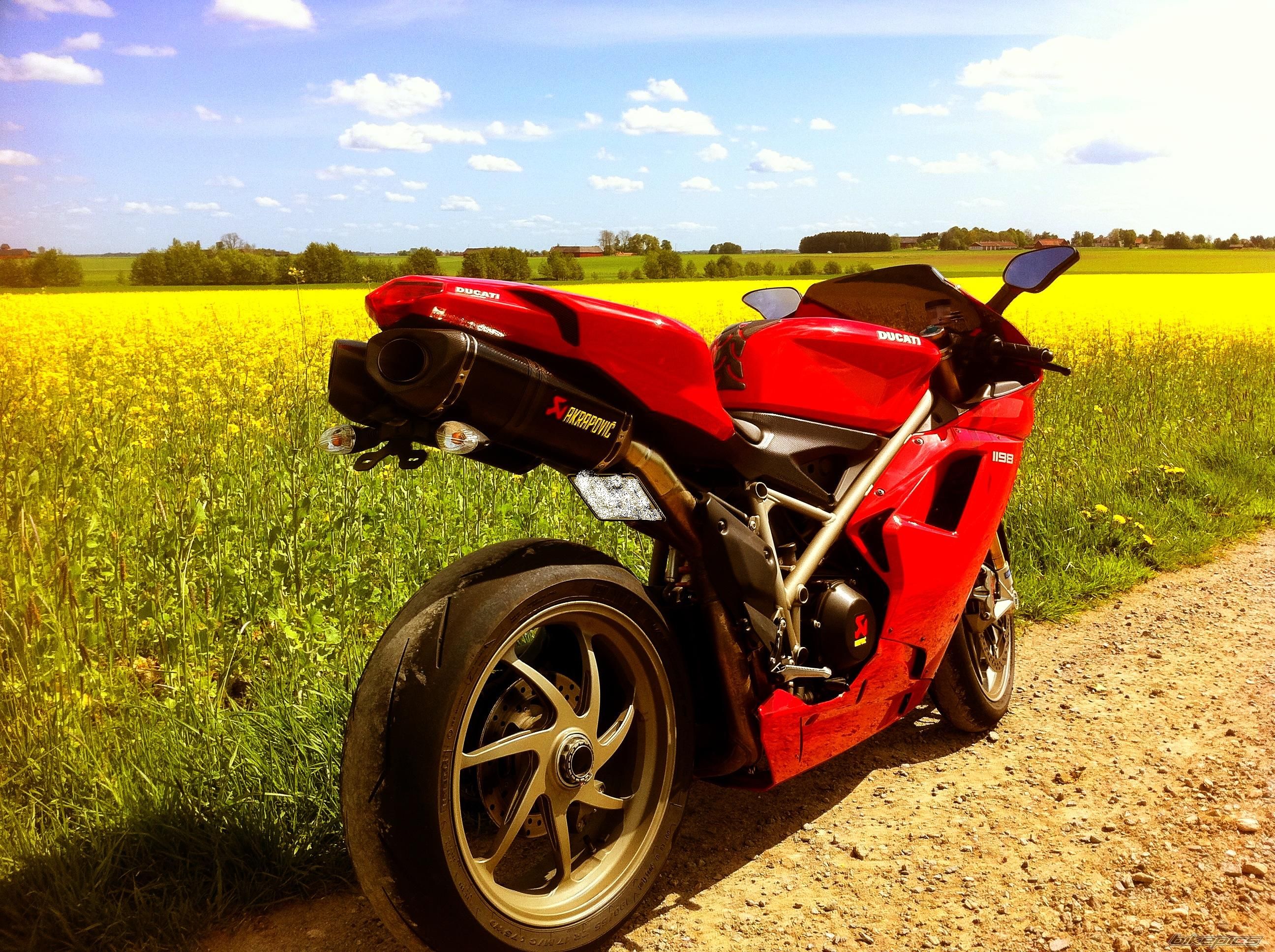 2009 DUCATI 1198 | Picture 2214562 motorcycle photo