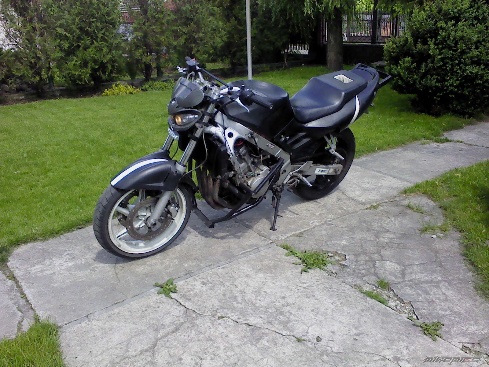 1994 HONDA CBR 600 | Picture 2214601 motorcycle photo