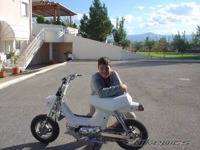 2004 HONDA CHALY | Picture 221508 motorcycle photo