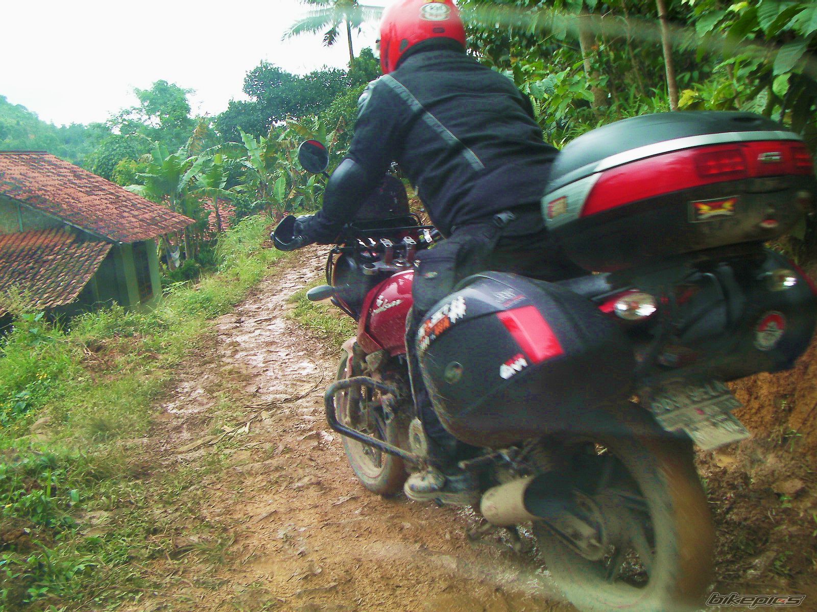 2008 BAJAJ PULSAR 200 | Picture 2215198 motorcycle photo
