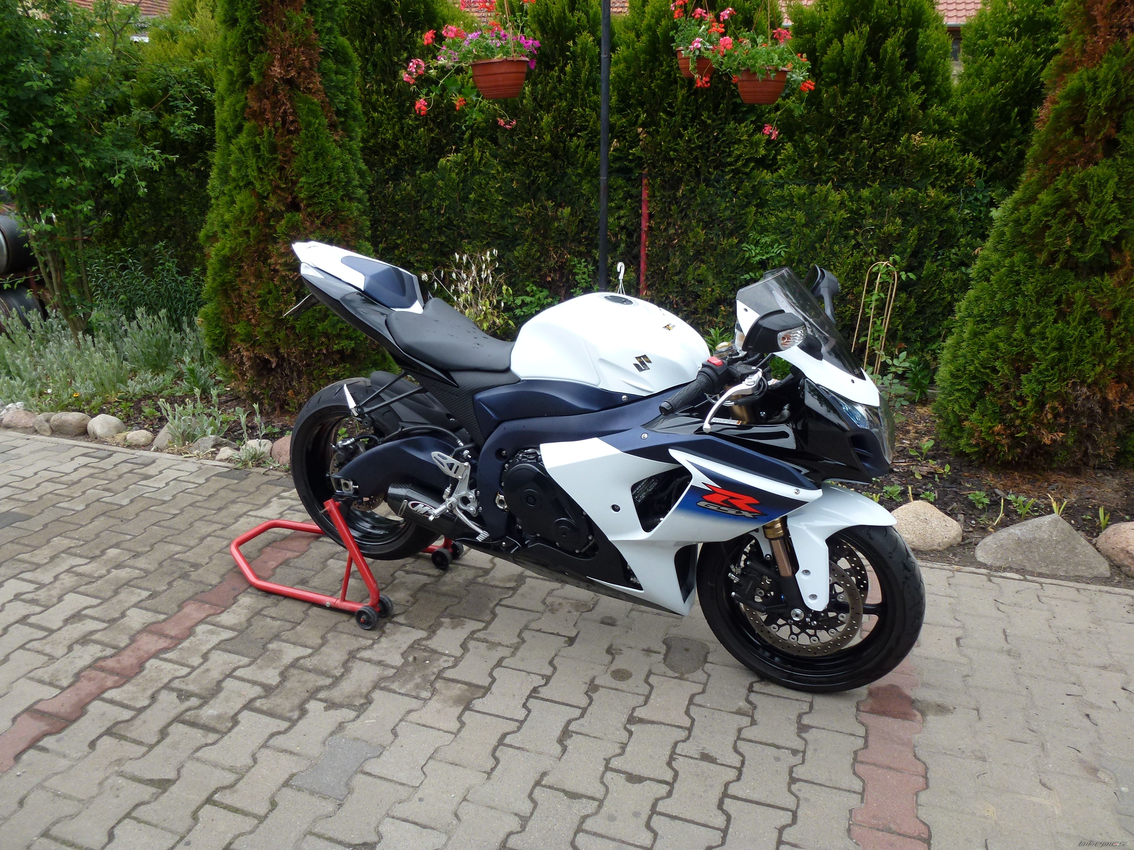 2010 SUZUKI GSX R 1000 | Picture 2215279 motorcycle photo