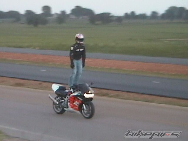 1999 HONDA CBR 900RR FIREBLADE | Picture 2215284 motorcycle photo