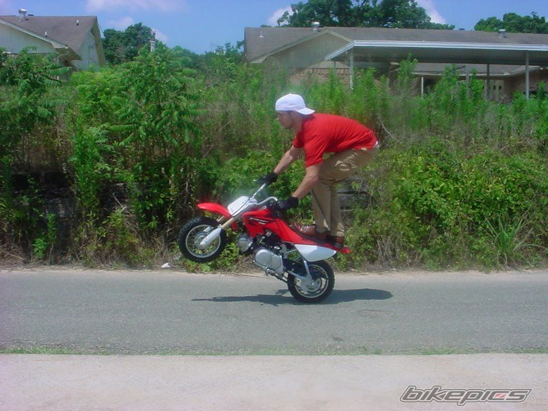 2006 HONDA CRF 50 | Picture 2215341 motorcycle photo