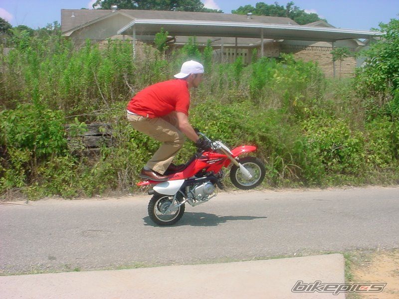 2006 HONDA CRF 50 | Picture 2215342 motorcycle photo