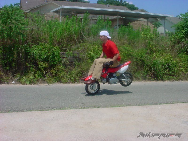 2006 HONDA CRF 50 | Picture 2215344 motorcycle photo