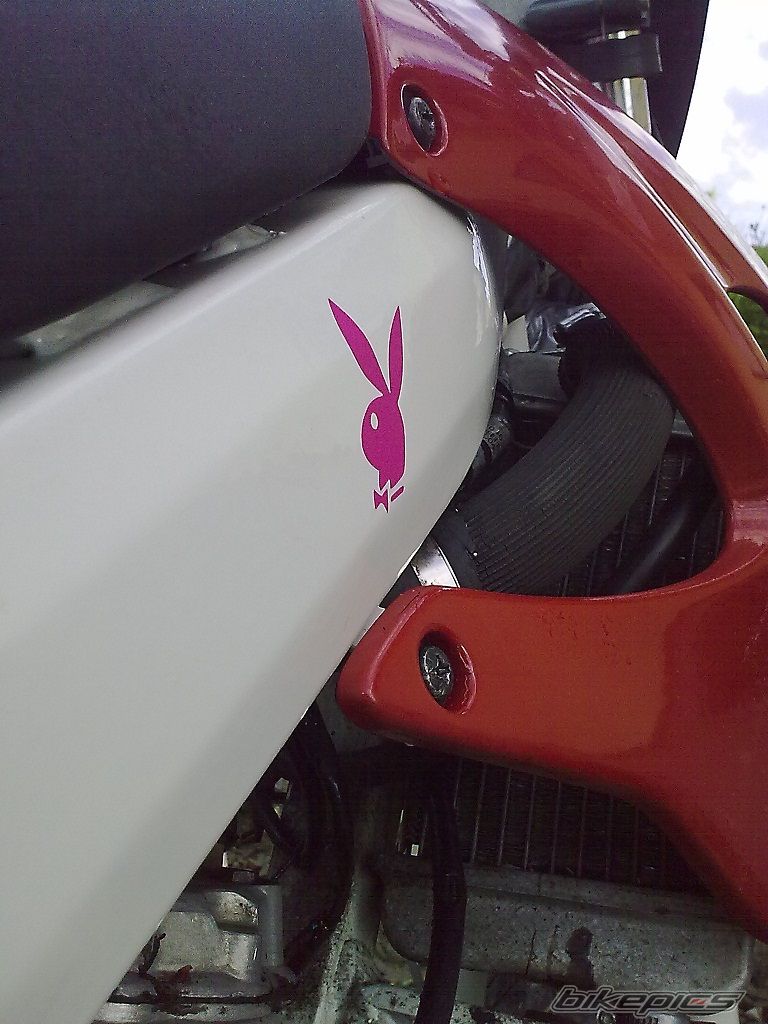 2009 DERBI SENDA  X TREME SM | Picture 2215498 motorcycle photo