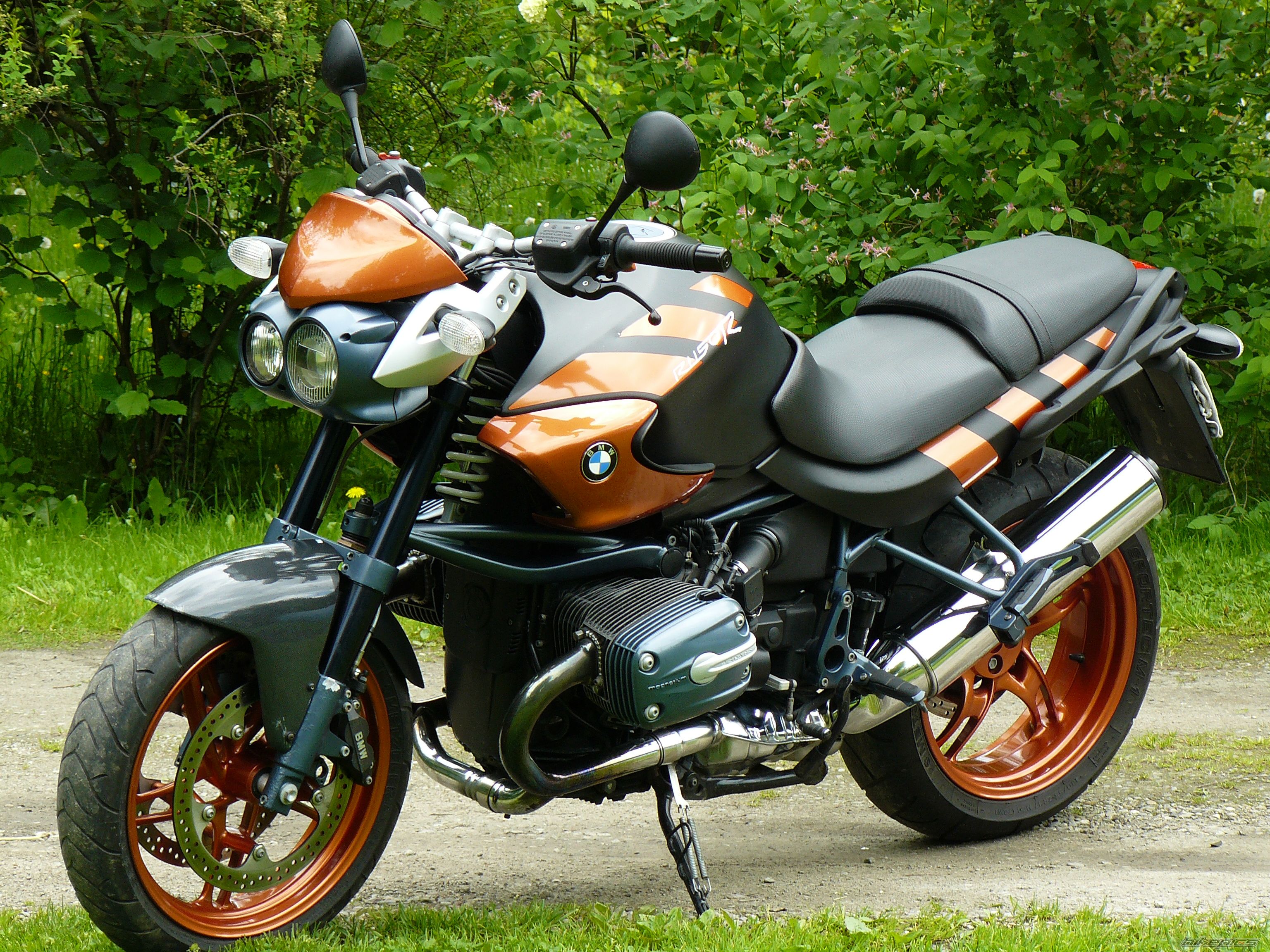 2004 BMW R 1150 R ROCKSTER EDITION 80 | Picture 2215596 motorcycle photo
