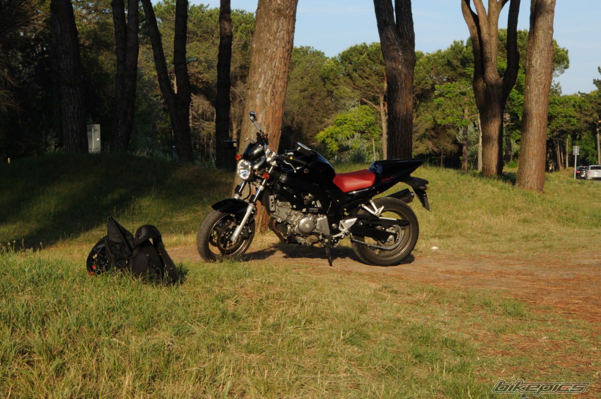 2009 SUZUKI SV 650 | Picture 2216048 motorcycle photo