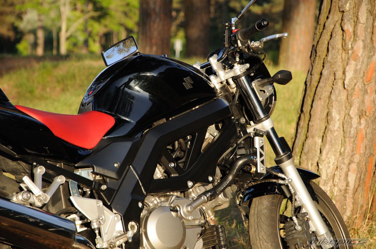 2009 SUZUKI SV 650 | Picture 2216068 motorcycle photo