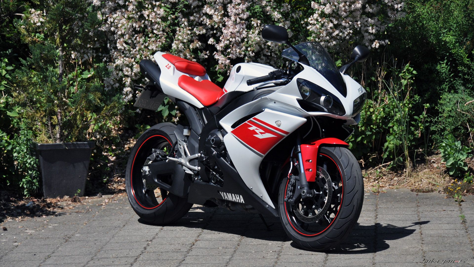 2008 YAMAHA YZF R1 | Picture 2217333 motorcycle photo