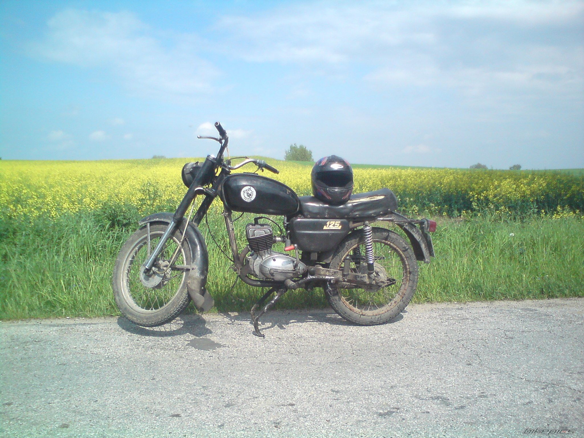 1982 WSK 125 | Picture 2217632 motorcycle photo