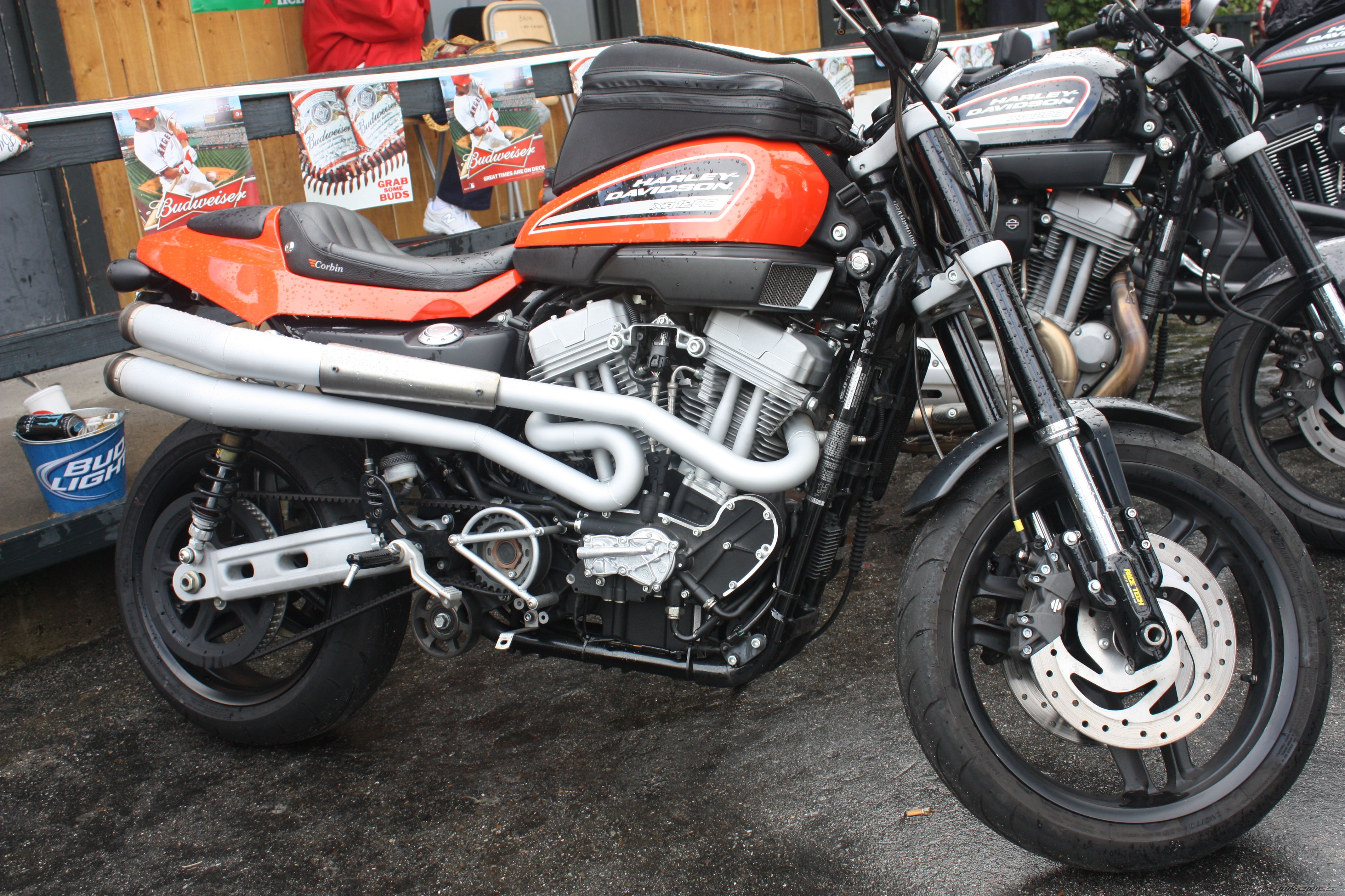 2011 HARLEY DAVIDSON XR 1200 | Picture 2217907 motorcycle photo